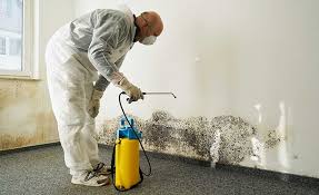 Best Environmental Consulting for Mold Prevention  in Ancient Oaks, PA